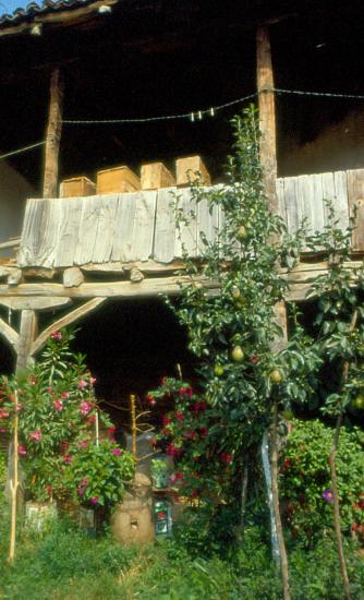 Έρευνα στα χωριά της Φλώρινας