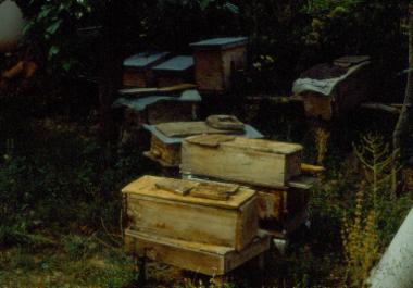 Έρευνα στα χωριά της Καστοριάς