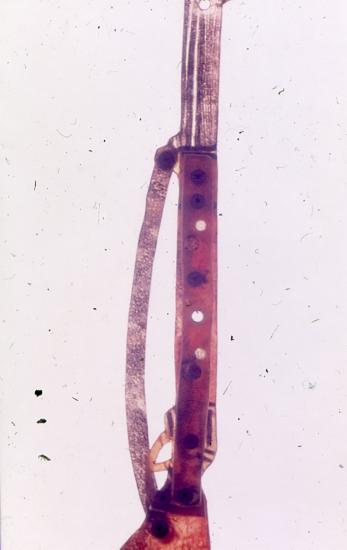 Φιγούρα αντικειμένου για το Θέατρο Σκιών (Καραγκιόζη) από τη συλλογή του ΛΕΜΜ-Θ.