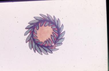 Φιγούρα αντικειμένου για το Θέατρο Σκιών (Καραγκιόζη) από τη συλλογή του ΛΕΜΜ-Θ.