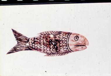 Φιγούρα ψαριού για το Θεάτρο Σκιών (Καραγκιόζη) από τη συλλογή του ΛΕΜΜ-Θ.