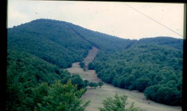 Πισοδέρι ν. Φλώρινας