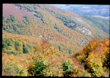 Πισοδέρι ν. Φλώρινας