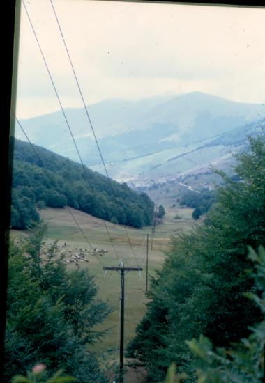 Πισοδέρι ν. Φλώρινας