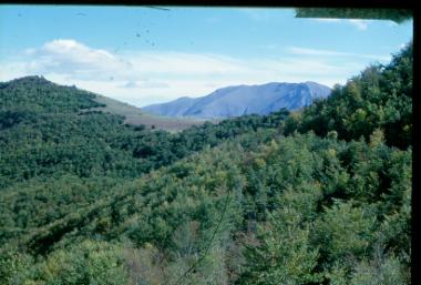 Τα βουνά Μουρίκι-Σινιάτσικο