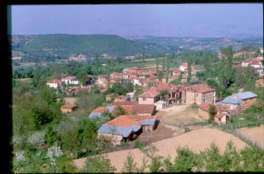 Δαμασκηνιά ν. Κοζάνης