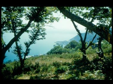 Ο Άη- Γιάννης στο Πήλιο
