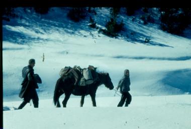 Μεταφορά με ζώο