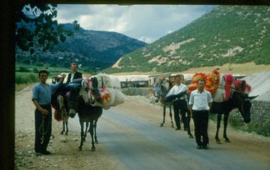 Μεταφορές με ζώα