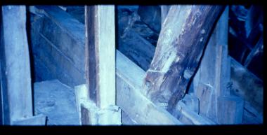 Κοπάνια μαντανιού