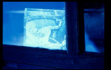 Παλιά αφίσε με νύφη, Βουλγαρία