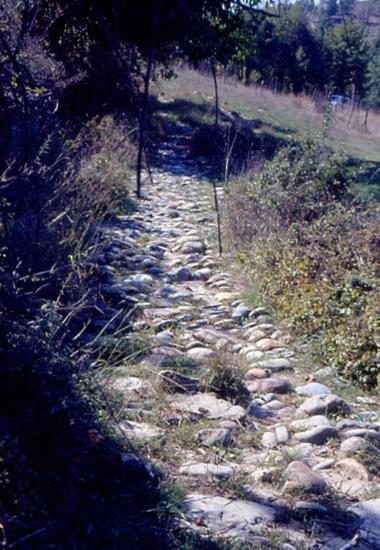 Δρομάκι στη Χρυσαυγή Κοζάνης