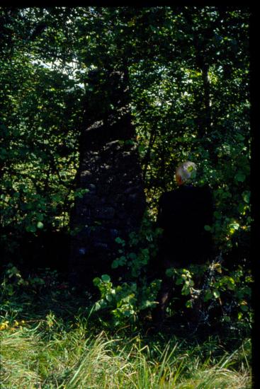 Ερείπια νερόμυλου στο Πληκάτι Ιωαννίνων