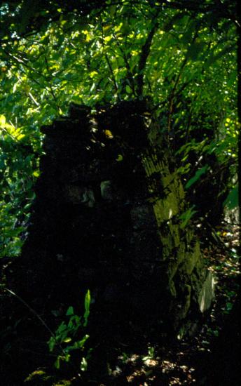 Ερείπια νερόμυλου στο Πληκάτι Ιωαννίνων