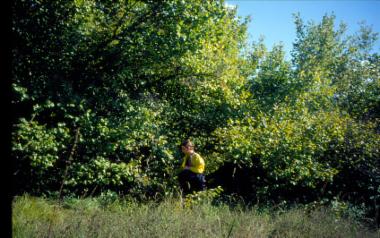 Ερείπια νερόμυλου στο Πληκάτι Ιωαννίνων