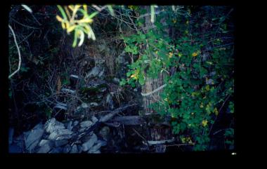 Ερείπια νερόμυλου στο Πληκάτι Ιωαννίνων