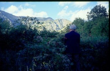 Πληκάτι Ιωαννίνων