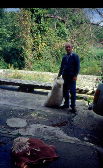 Νεροτριβές στο Αηδονοχώρι Ιωαννίνων