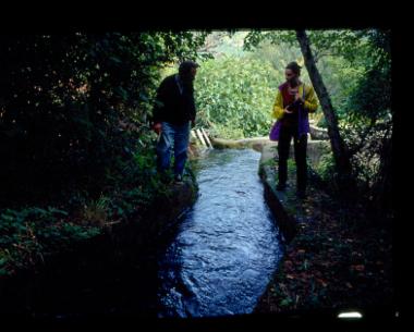 Νεροτριβές στο Αηδονοχώρι Ιωαννίνων