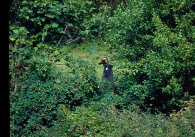 Νεροτριβές στο Αηδονοχώρι Ιωαννίνων
