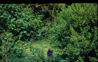 Νεροτριβές στο Αηδονοχώρι Ιωαννίνων