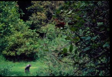 Νεροτριβές στο Αηδονοχώρι Ιωαννίνων