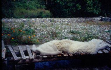 Νεροτριβές στο Αηδονοχώρι Ιωαννίνων