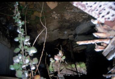 Νερόμυλος Αλέγα, Άψαλος Πέλλας