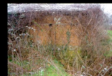 Νερόμυλος Αλέγα, Άψαλος Πέλλας