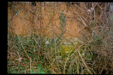 Νερόμυλος Αλέγα, Άψαλος Πέλλας