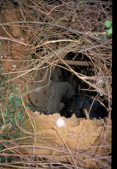 Νερόμυλος Αλέγα, Άψαλος Πέλλας