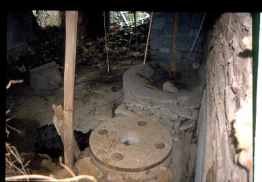 Νερόμυλος Αλέγα, Άψαλος Πέλλας