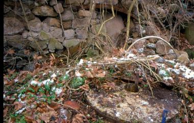 Ερειπωμένος νερόμυλος στη Φούστανη, στους πρόποδες του Πάικου
