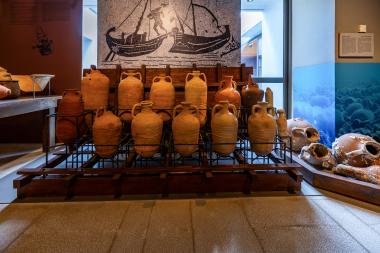 Archaeological Museum of Nicopolis, Exhibits