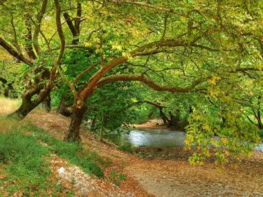 River Louros