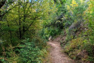 Vidra, The Riverside Trail of Arachthos