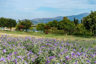 Riverside Park of Arta