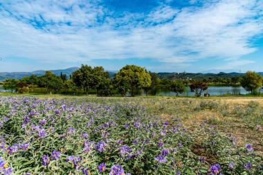Riverside Park of Arta
