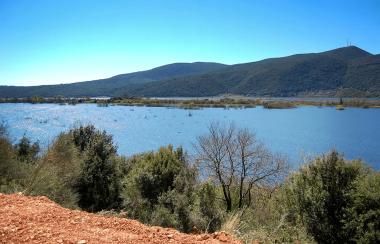 Swamp - Marsh of Kalodiki in Thesprotia
