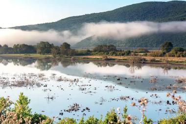Swamp - Marsh of Kalodiki in Thesprotia