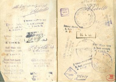 Identity Card of Constantia Triantafyllidou, later wife of Nikolaos Gioousoglou