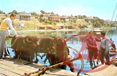 Fishermen stand on the pier of Kouri, tending to their nets and preparing for the day’s work at sea