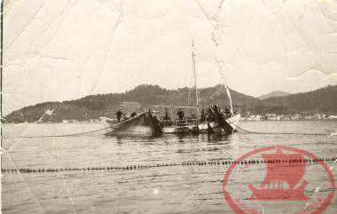 Aretsou. The boat of Dimitrios Tsimpitas hauled ashore