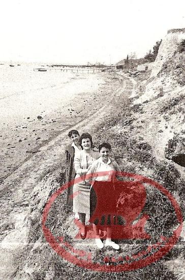 Three young women are photographed near the pines of Aretsou