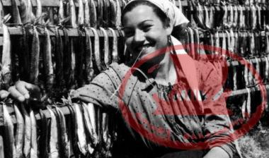 A young woman from Aretsou sews ten by ten the mackerel on special hangers made of reeds for drying