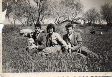 Residents of the Volvi region with sheep in the 1960s
