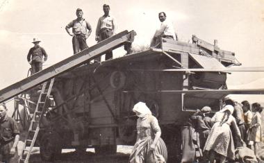 Agricultural work in the Volvi region