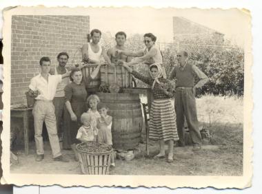 Crusher and wine press on the vineyard of the Italian Alfredo Neri