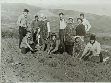 Farmers planting tobacco in the area of Kozani in 1970
