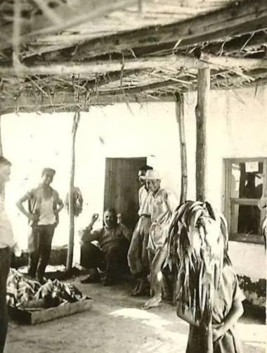 Scene from the rural life in Askos Volvi